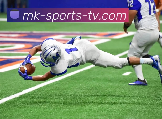 mk体育网站发展历程