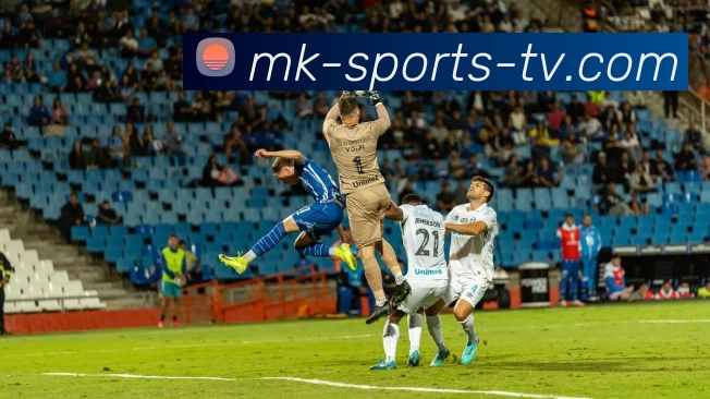 mk体育网站APP 封面图